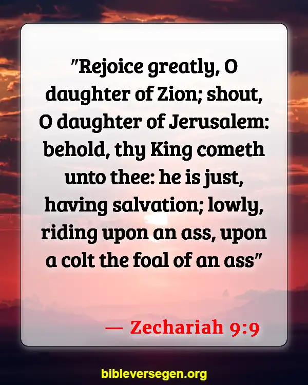 Bible Verses About The Name Of Jesus (Zechariah 9:9)